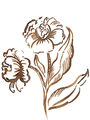 Image Not Available